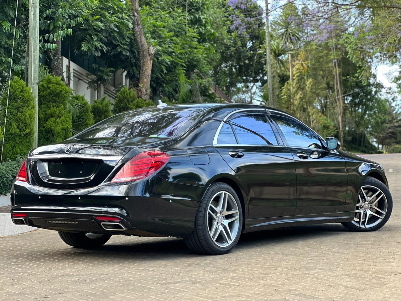 WhatsApp Image 2026-01-16 at 2.06.03 PM